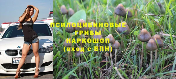 гашиш Вяземский
