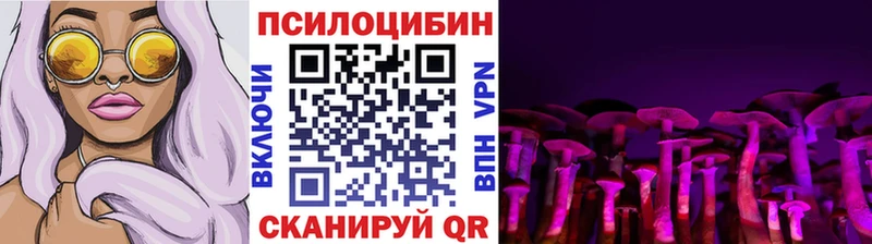 Галлюциногенные грибы Cubensis  Купить где  Пионерский 